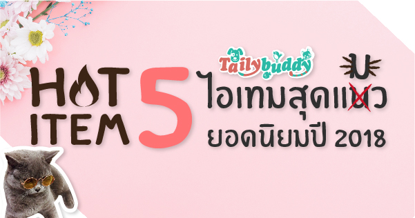 Hot Item!!! 5 อันดับ ไอเทมสุดแมว ยอดนิยมประจำปี 2018
